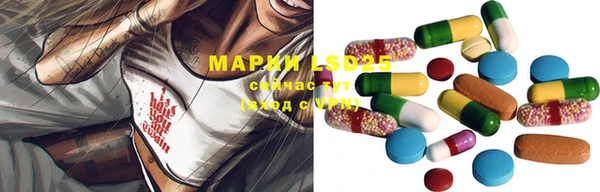 СК Вязьма