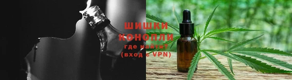 СК Вязьма