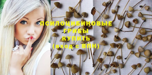 ALPHA PVP Вяземский