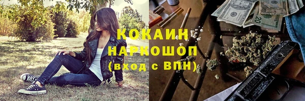 СК Вязьма