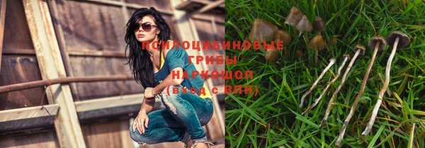 ALPHA PVP Вяземский