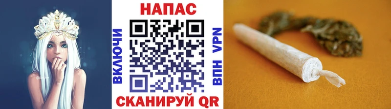 Каннабис сатива  как найти закладки  Элиста 
